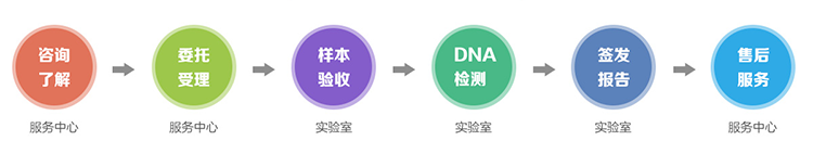 江西隐私亲子鉴定流程